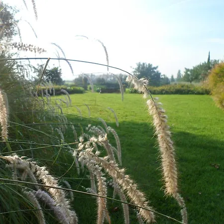 Casa di campagna Casale Di Tormaggiore And Country Pomezia
